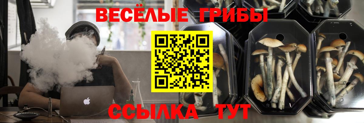 Галлюциногенные грибы прущие грибы Великие Луки