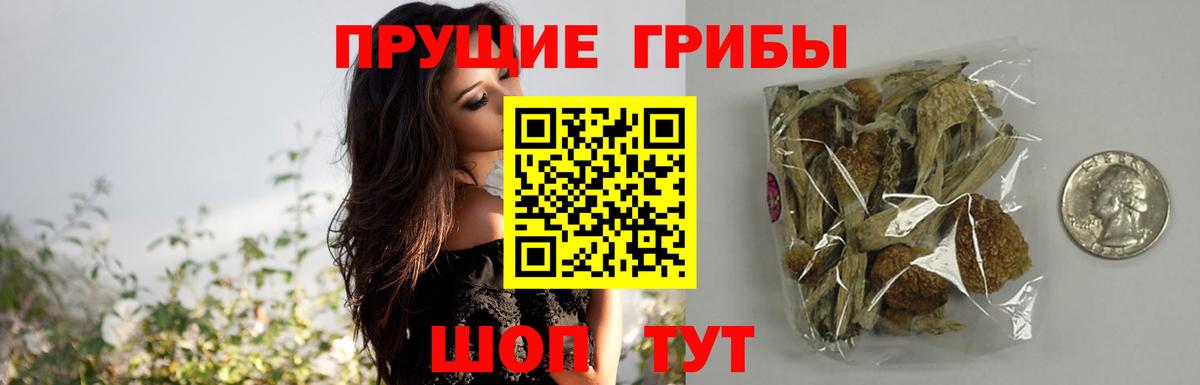Псилоцибиновые грибы Psilocybe  Галлюциногенные грибы MAGIC MUSHROOMS  Вход с VPN  Великие Луки 